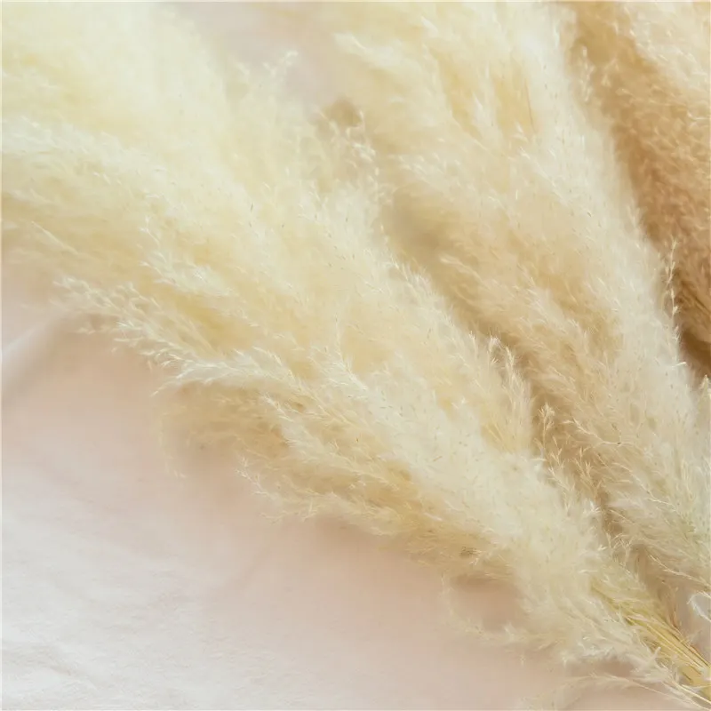 

5/10pcs Dried Pampas Grass Large Valentines Day Gift Phragmites Artificial Plants Wedding Flower Bunch for Home Decor