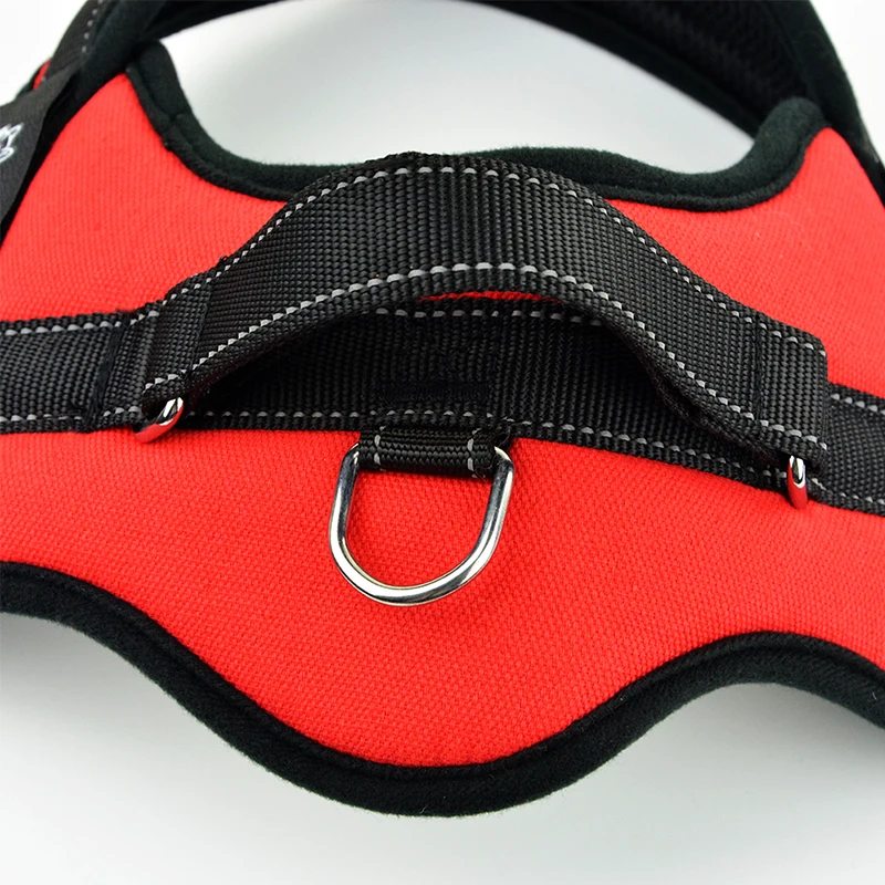 Индивидуальная жгут для собак с именем больших индивидуальная