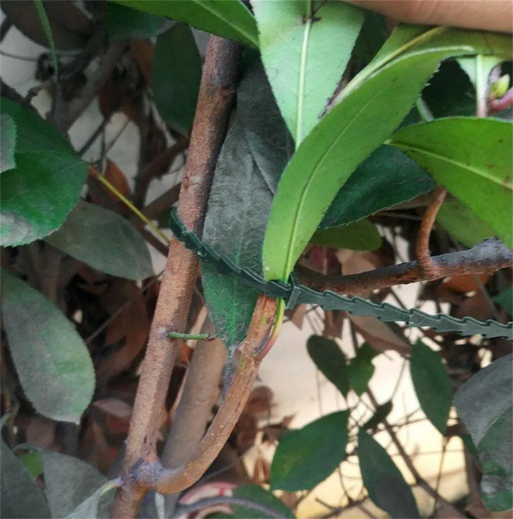 Зеленый Садовый галстук для обмотки растений горшков Марка садовый инструмент