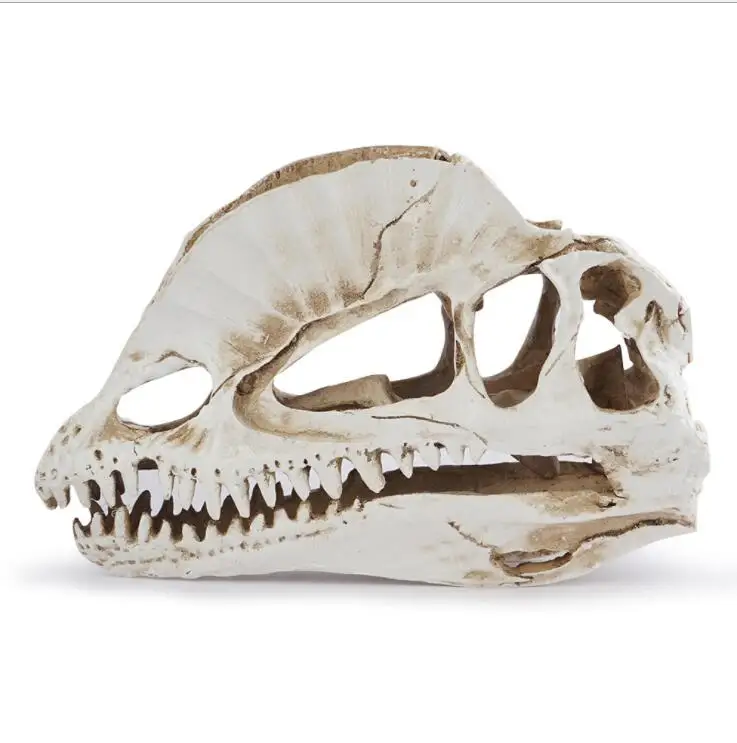 Dilophosaurus скелет модель смола для дома и офиса Хэллоуин украшение динозавры форма