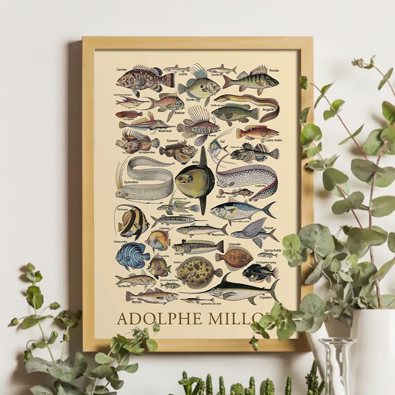 2021 горячая Распродажа морской Животные Адольф Millot графический плакат ретро рыбы