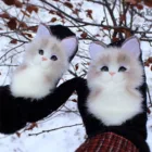 Перчатки женские зимние в виде мультяшных животных