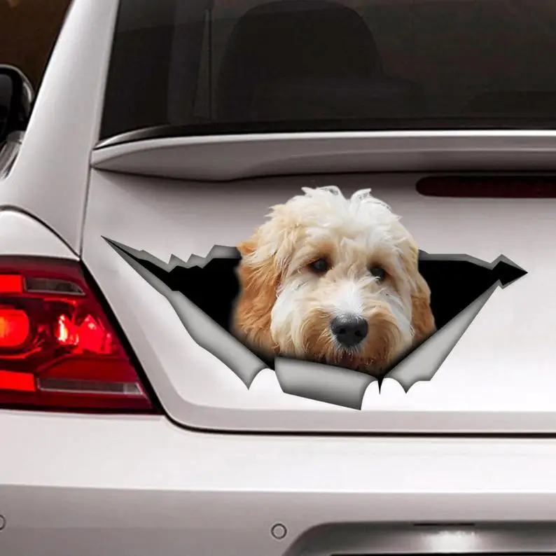 

White Goldendoodle car decal, 3D sticker , pet decal, dog decal