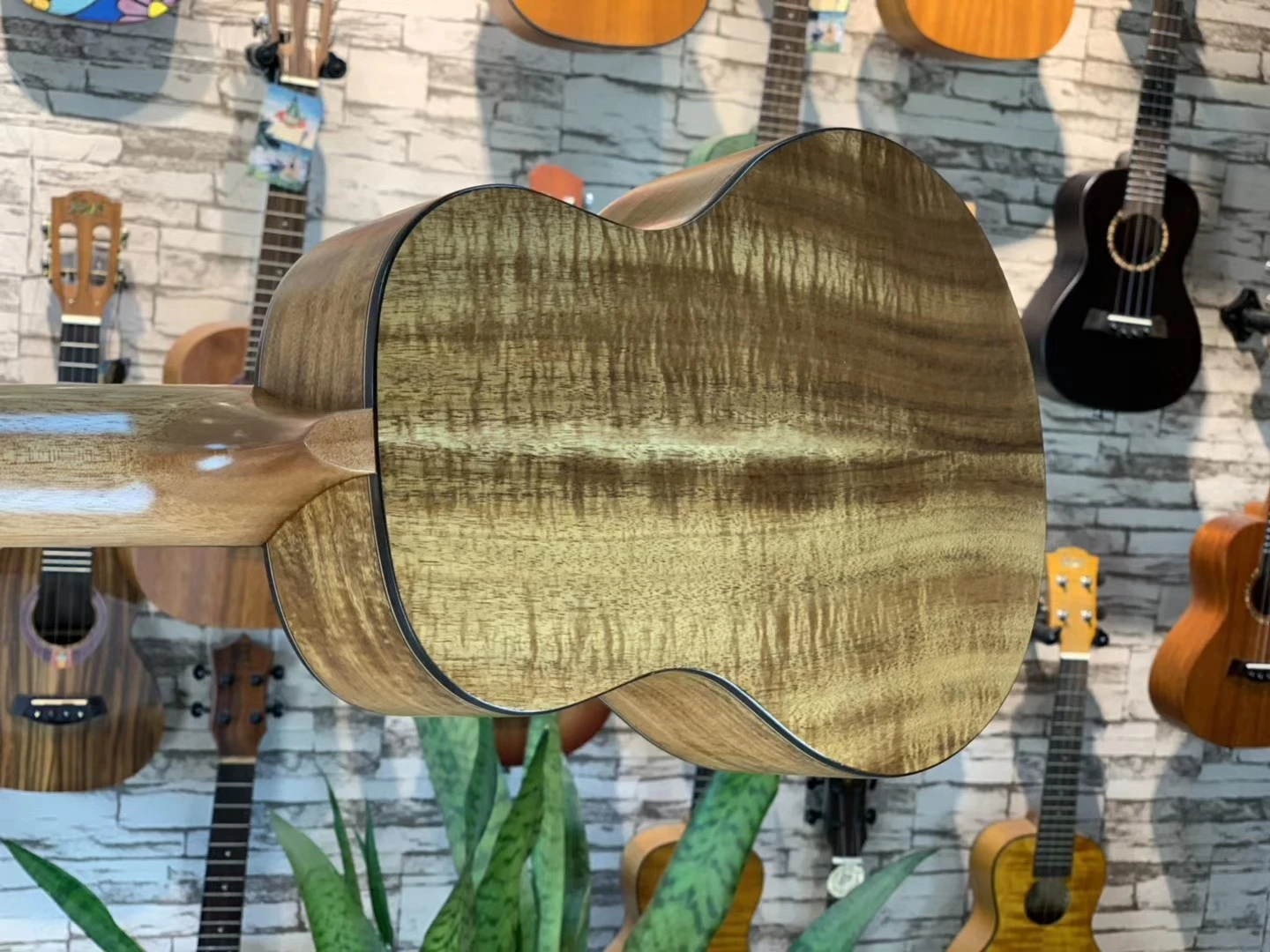 volle feste ukulele alle acacia matt konzert tenor 23 26 in elektrische gitarre ukelele 4 strings guitarra uke akustische free global shipping