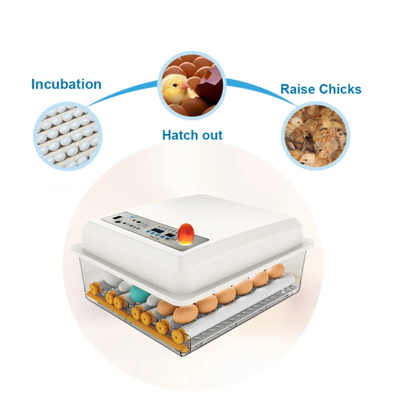 Инкубатор для яиц Брудер топор птица перепелиное яйцо инкубатор цыплят двойной