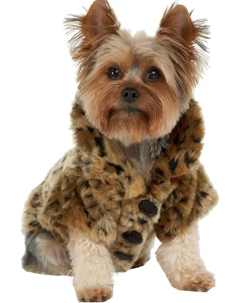 

Pet Clothing Winter Coat Jacket Leopard Pattern Luxury Generic Luxury Pet Dogs Coat Leopard Faux Fur Jacket Winter Clothes