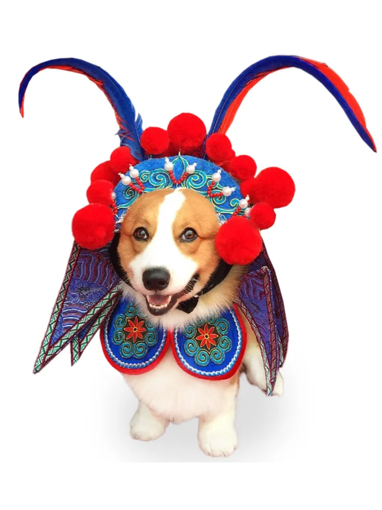 

Аксессуары для одежды: собака, кошка, нож, лошадь, дан, Бордер, колли корги/Французский бульдог, Новогодняя опера, забавная одежда