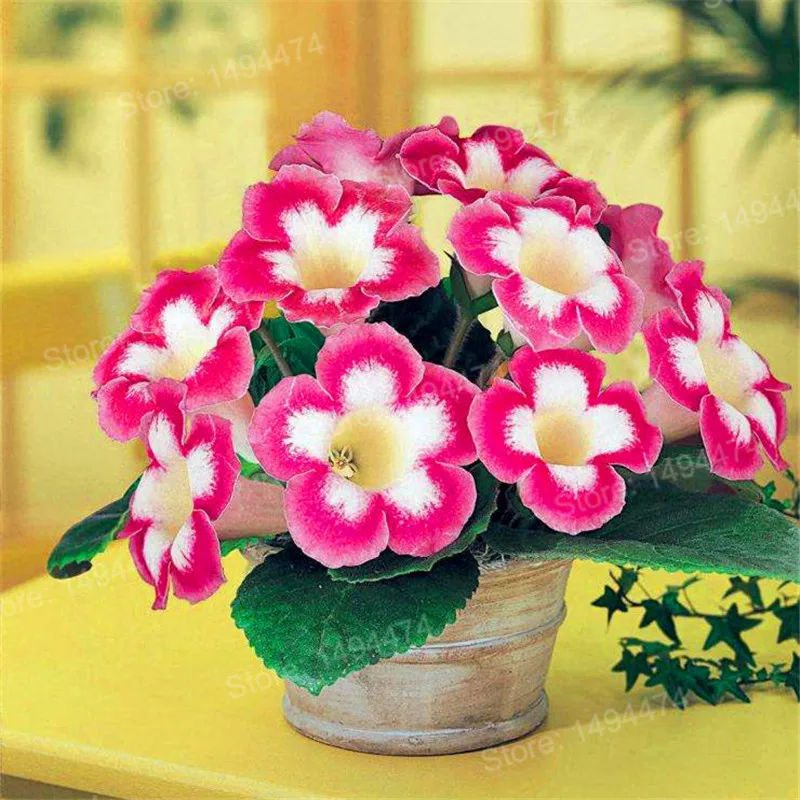 100 шт Искусственный глоксиния|Цветочные горшки и кадки| |