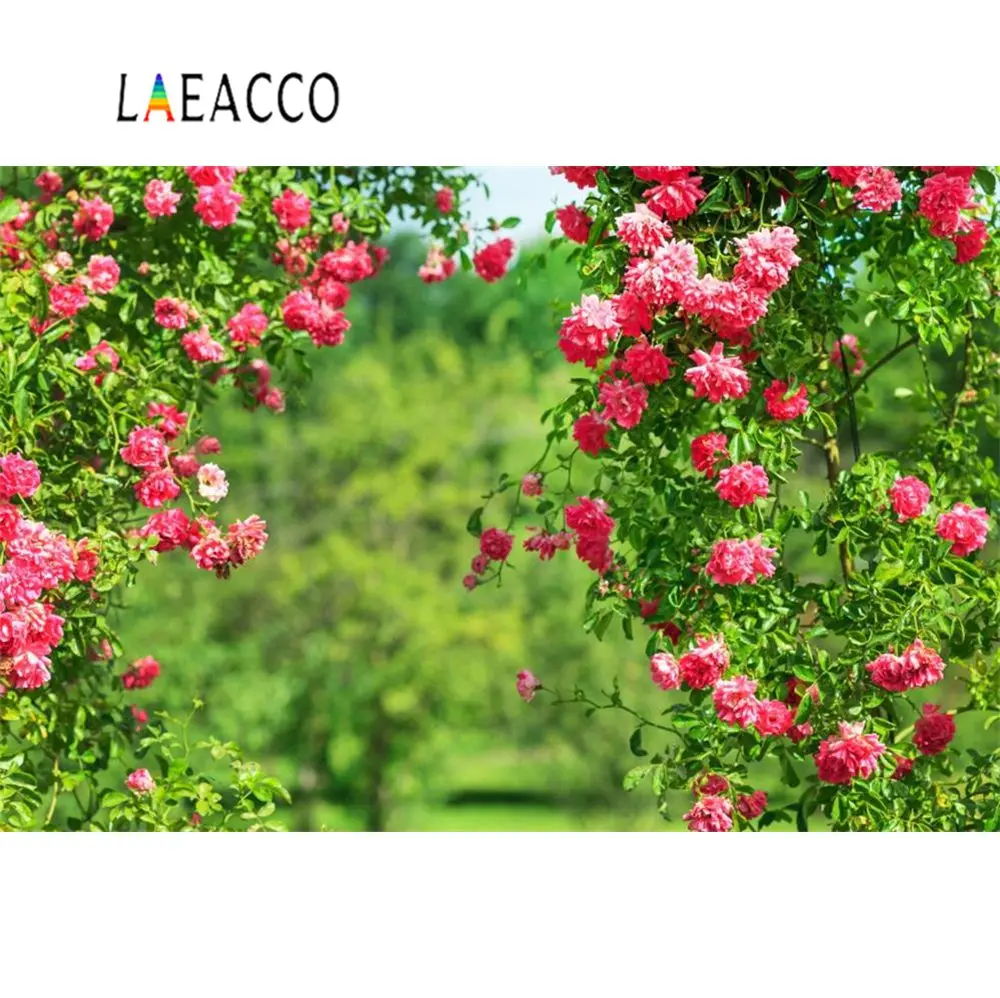 

Фон Laeacco для фотосъемки новорожденных светильник весенними цветами и зеленой лозой