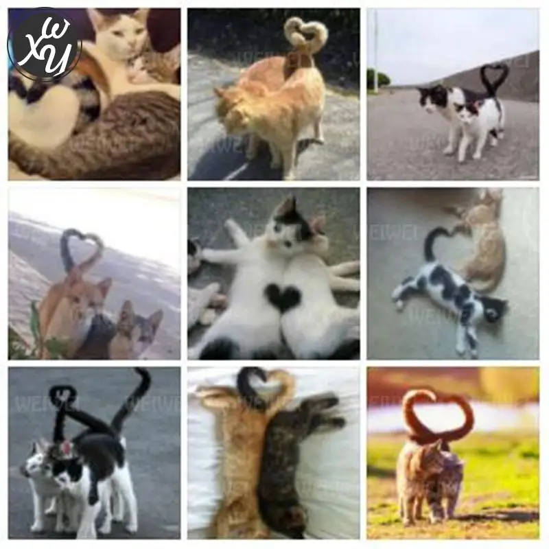 Кот с кудрявым хвостом алмазная живопись для взрослых 5D милая фотография вышивка