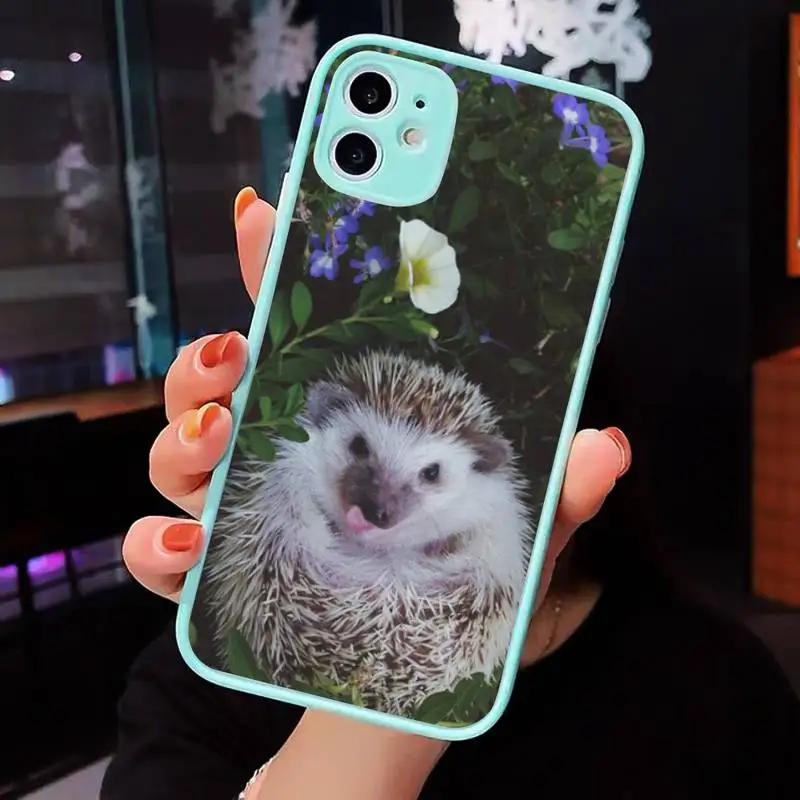 

Cute little hedgehog Phone Case Clear Funda matte transparent For blue iPhone 7 8 x xs xr 11 12 pro plus max mini