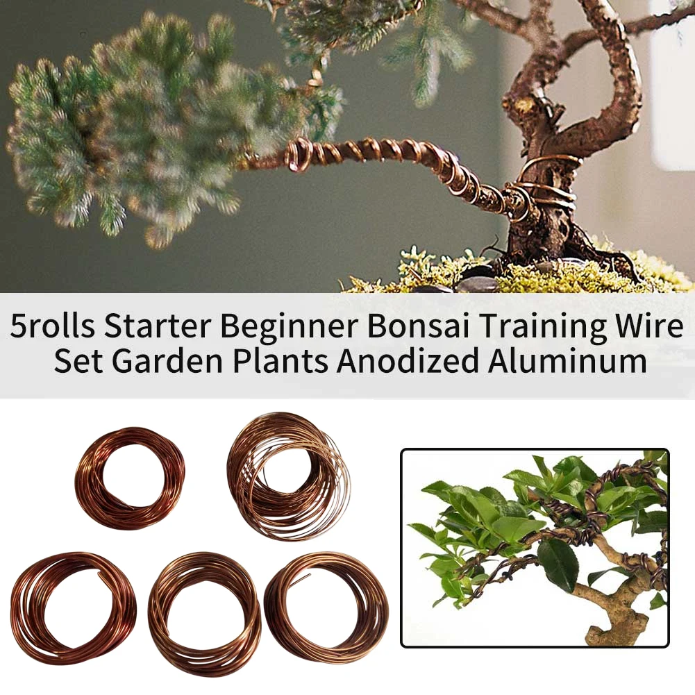 

5 рулонов, стартовый садовый держатель, фиксатор, набор тренировочных проводов бонсай, легкое сгибание, 147 футов, всего гибкий анодированный ...