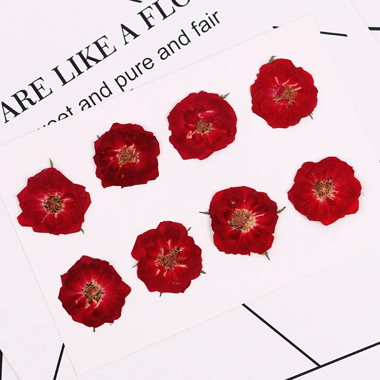 Натуральная неизменная прессованная Роза 16 шт. настоящие засушенные цветы