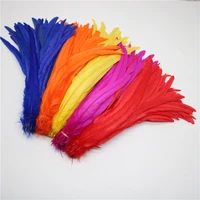 wholesale 100pcs 30 35cm natural rooster tail feathers for decoration craft christma diy pheasant feather plume