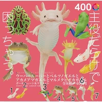 gashapon capsule toy japan kitan ntc illustrations ambystoma mexicanum frog ceratophrys ornata red eyed tree frog doll