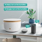 GXDiffuser Распылитель с таймером, 500 мл, умный Wi-Fi распылитель для ароматерапии, увлажнитель эфирного масла, Электрический ультразвуковой аромадиффузор с Alexa