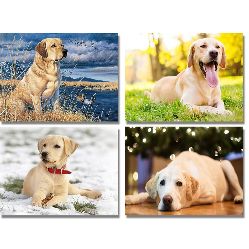 5d алмазная живопись лабрадором своими руками вышивка крестом собак круглые