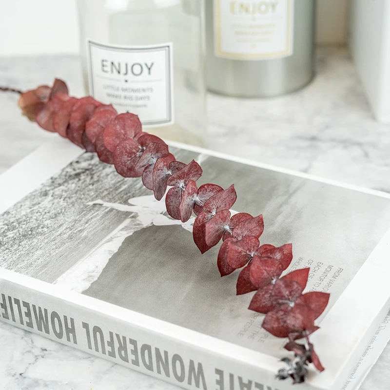 

Dried Flowers Natural Eucalyptus Leaves Artificial Plants Nordic Home Wedding Decoration DIY Handmade Craft Photo Backdrop