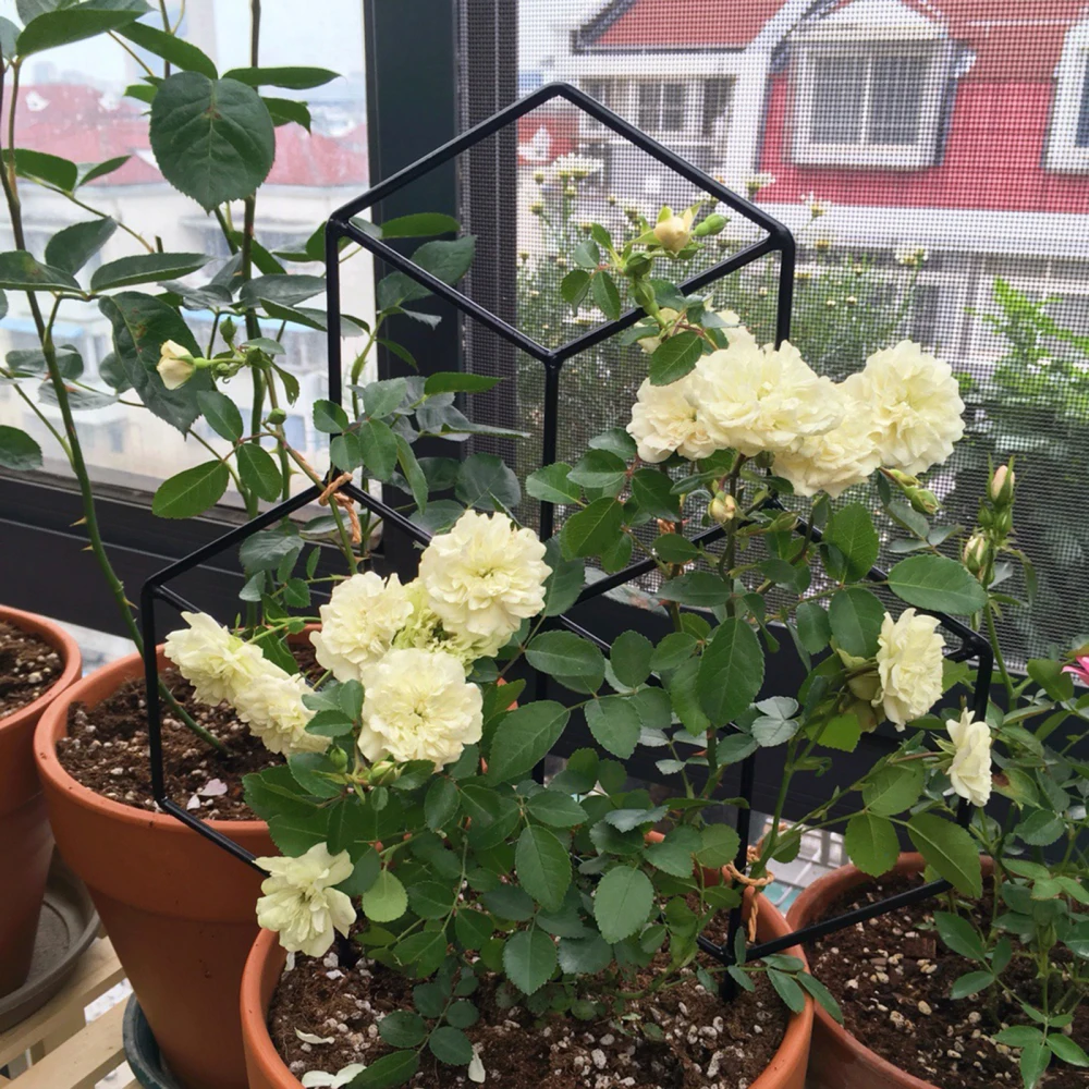 Решетка садовая из черного металла для подъема растений цветов овощей розы