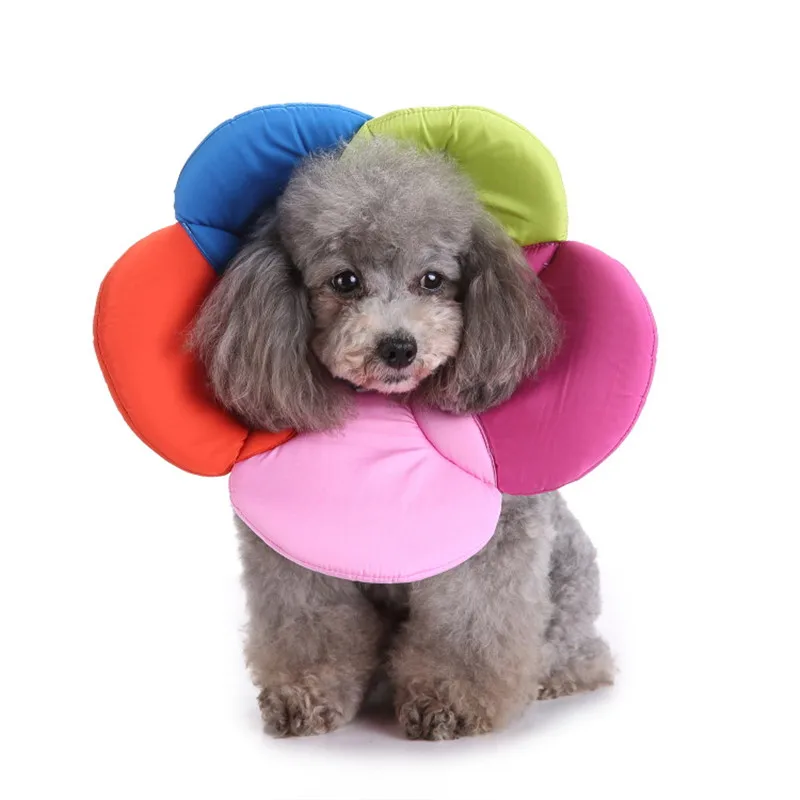 

Flower Shape Pet Elizabethan Collar Cats Dogs Postoperative Recovery Protection Collars Smart Cone Prevent Bite