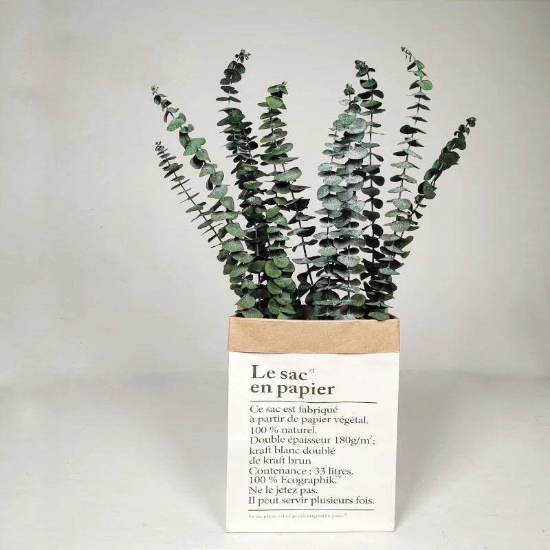 

Plantas Naturales Eucalyptus Foliage Guirlande Table Centerpieces Chambre Femme Flower Decoration