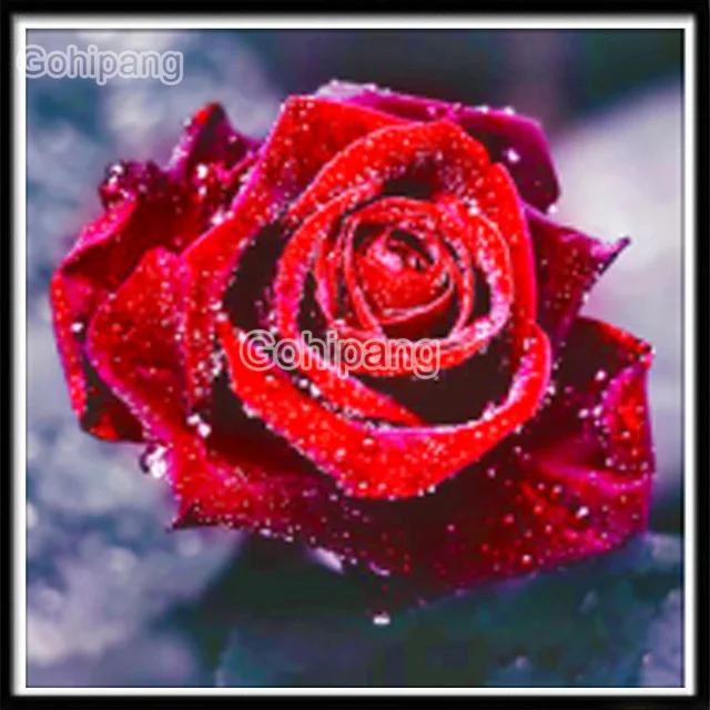 

DIY Diamond Painting Cute Penguins Bunches of Flowers Red Rose Square or Round Diamond Embroidered Home Rooms Wall Decoration