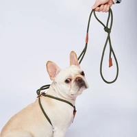 5pcs 143cm dog medium sized small dog pet collar collar traction rope dog leash pet supplies accessories
