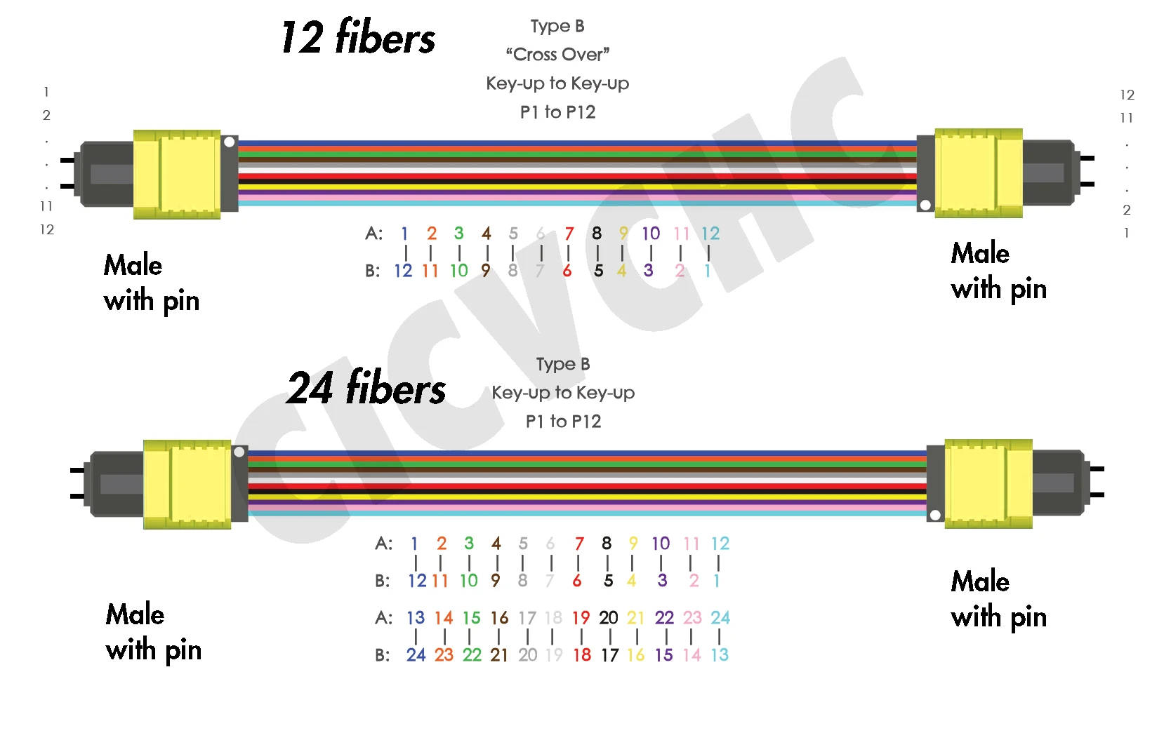2pcs 12 Fibers / 24Fiber MPO/APC(Male)-MPO/APC(Male)-Patchcord-Polarity B-G657A2-Low Loss-3.0mm cable