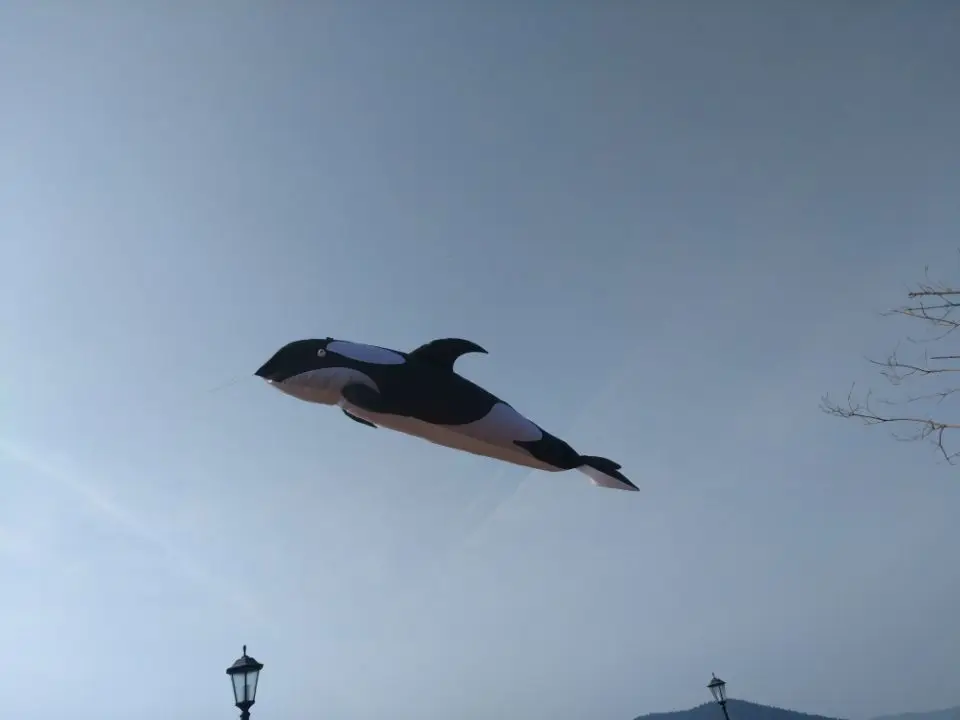 10M Inflatable Orca kite from kaixuan factory | Игрушки и хобби