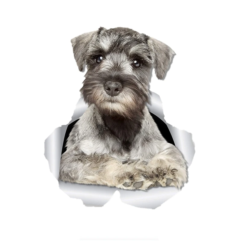 

Dawasaru 3D Curious Schnauzer Dog Sticker Car Sticker Decal for Car Wall Toilet Kid's Room Luggage Skateboard Laptop,15cm