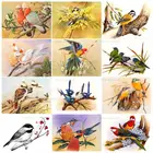 Алмазная живопись Стразы, Набор для вышивки крестиком с птицами, полное заполнение, подарок, мозаика, украшение для дома