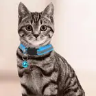 Нейлоновый ошейник для домашних животных Ночная Безопасность мигающий светится в темноте кошка собака поводок собаки; Блестящие светящиеся ошейники для собак домашних животных красочные