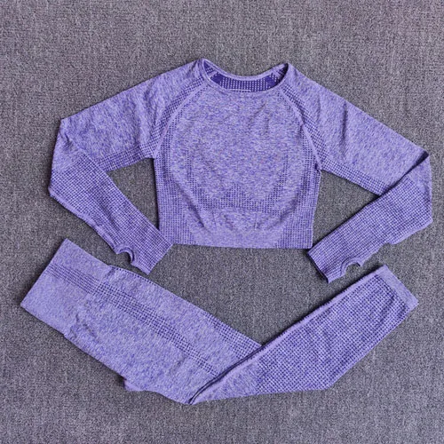 Purple 2 pcs set 2 шт., женские спортивный костюм, бесшовный комплект для йоги, спортивный комплект, высокая талия, леггинсы для бега, спортивные топы для фитнеса, одежда, спортивная одежда - Color: Purple 2 pcs set