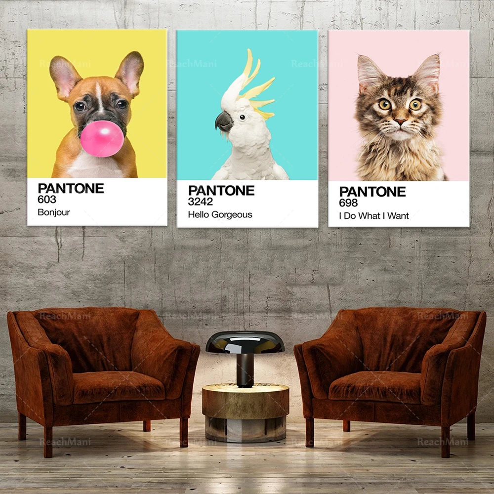 

French bulldog Pantone poster, kangaroo, parrot, cat animal wall print, home wall pantone Decorate a unique gift