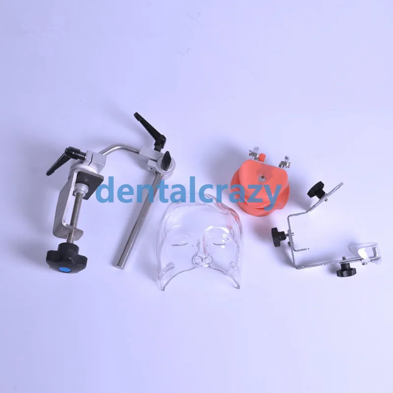 Стоматологическая лампа с типограммой/Стоматологическая заменяемыми зубами