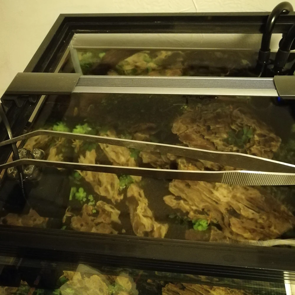 PAPASGIX Fish Tank Aquatics Plant Cleaning Tools Stainless Steel Aquariums Maintenance Kit Tweezers Scissors Cutting Set | Дом и сад