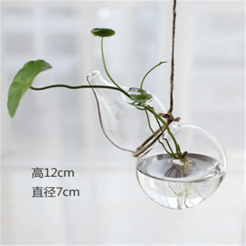 Подвесной настенный Epipremnum Aureum ваза для выращивания воды креативная настенная