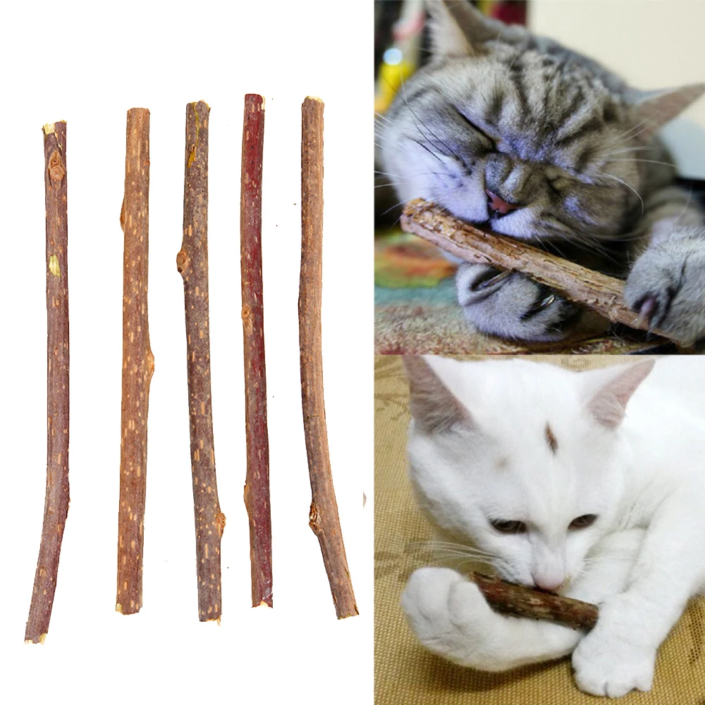 

NEW 5/10/20pcs Pure Natural Catnip Pet Cat Toy Molar Toothpaste Branch Cleaning Teeth Silvervine Cat Snack Sticks Pet Supplies 4