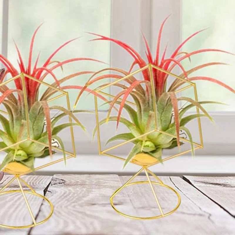 

8 Pack Air Plant Holder Tillandsia Air Plants Stand Hanging Containers Display Racks Hanging Tabletop Himmeli Decor