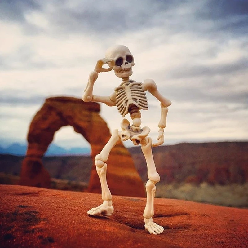 Внутренние Re единение с едой череп человека серии на шарнирах представляют