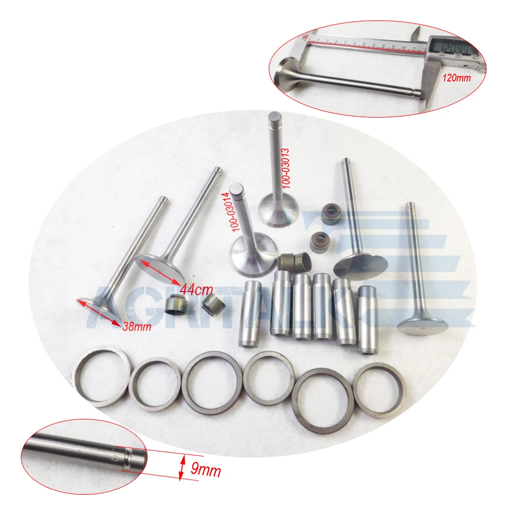 Двигатель Fujian Lijia (старая модель) 2 цилиндра/3 цилиндра, комплект клапанов, номер детали: 100-03014 / 100-03013 (код клапанов)