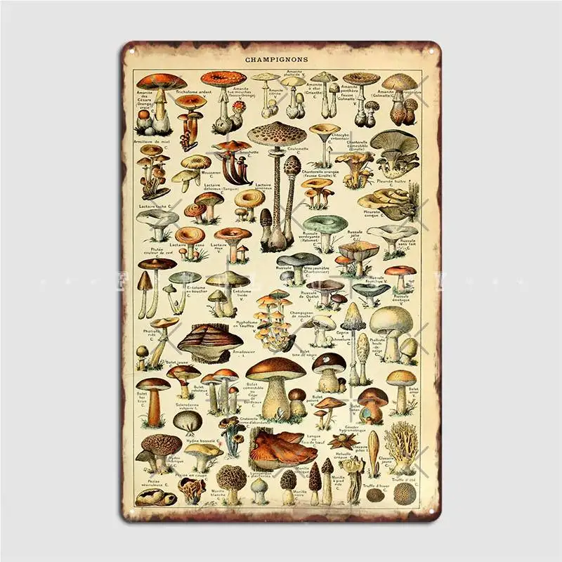 

Грибы металлический знак клувечерние клуба Бар Классическая стена фотоплакат