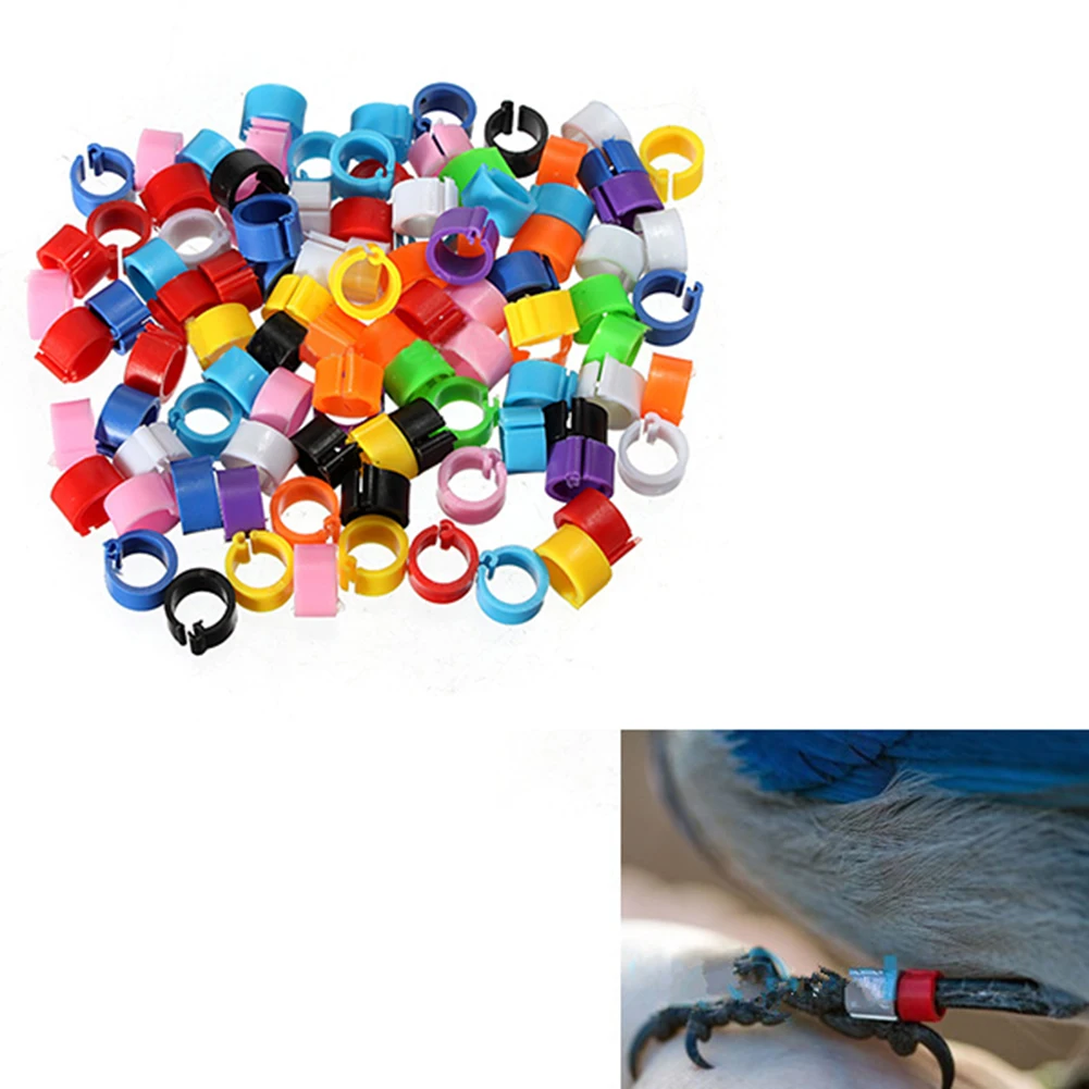 

100PCS Chicken Leg Ring Poultry Ankle Leg Buckle Color Label Buckle Ring For Chicken Duck Pigeon Farming Distinction