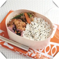 disposable takeout catering packaging box serving wood oval rice soup cup salad bowl noodle bowl lunch bento box