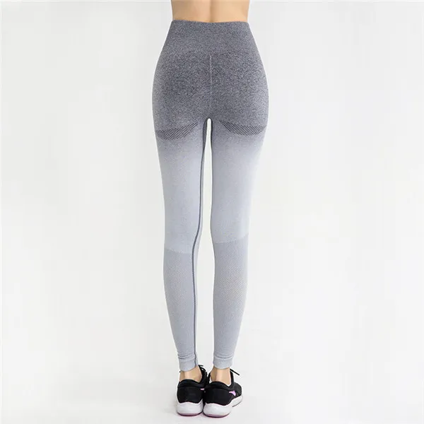 Grey White Pants Женский укороченный бесшовный топ с длинным рукавом с изображением акулы, женские футболки для тренировок, женские спортивные топы для спортзала - Цвет: Grey White Pants
