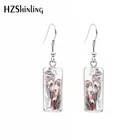 Серьги из нержавеющей стали, квадратные, с французским крючком, висячие, милые, летние аксессуары, 2019