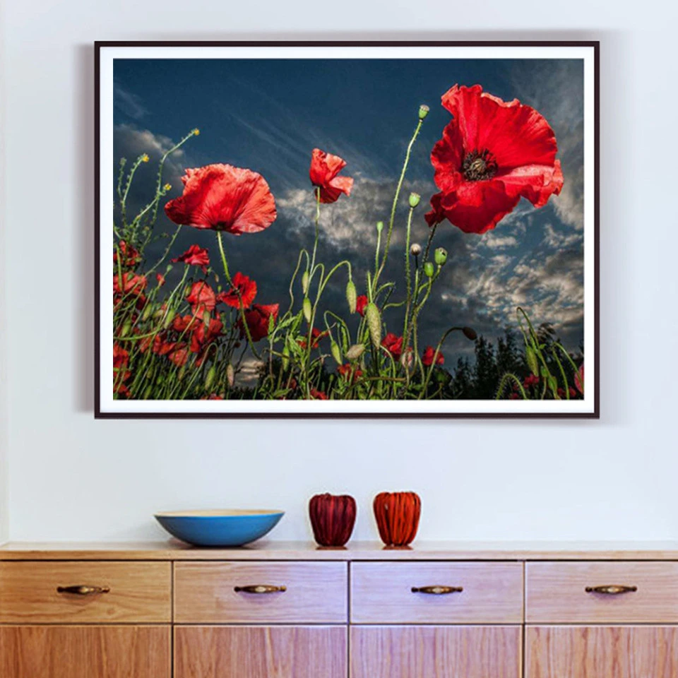 Раскраска по номерам для взрослых AZQSD ручная роспись раскрашивания маком