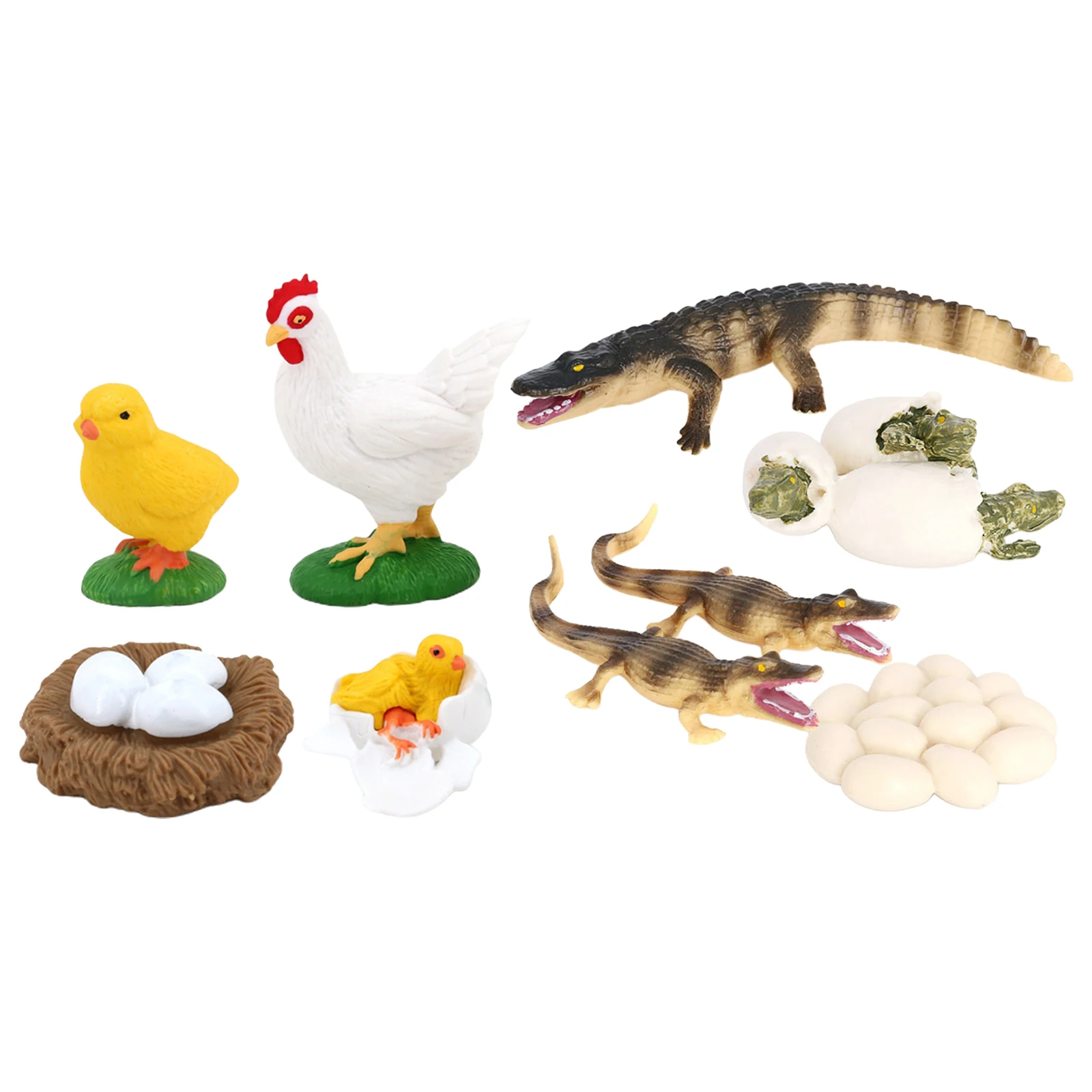 Juego de crecimiento de insectos para el ciclo de la vida, figuras de educaci&oacute;n, juego de rol, fiesta tem&aacute;tica, 2 unidades-5