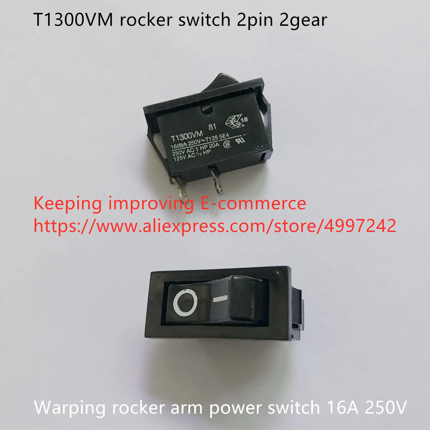 t1300vm