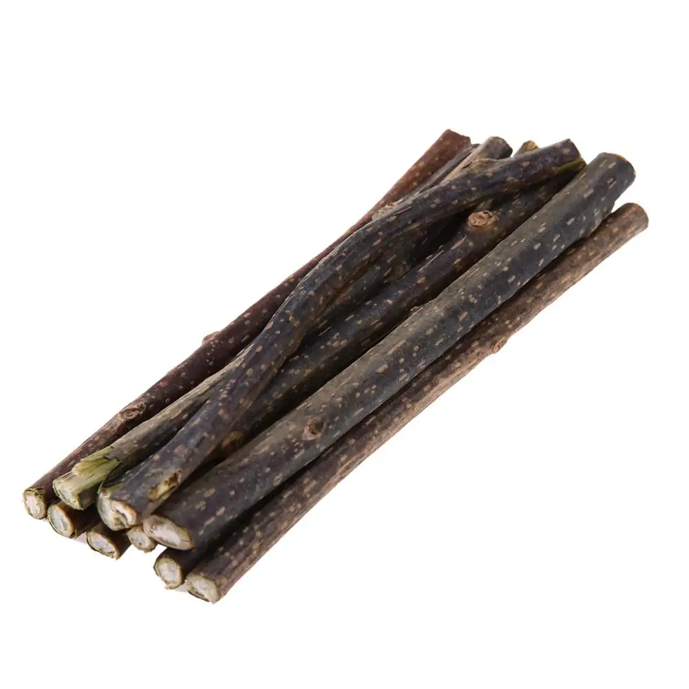 

10pcs Natural Catnip Pet Cat Molar Toothpaste Stick Fruit Silvervine Cat Snacks Sticks Pet Cleaning Teeth Dropshipping